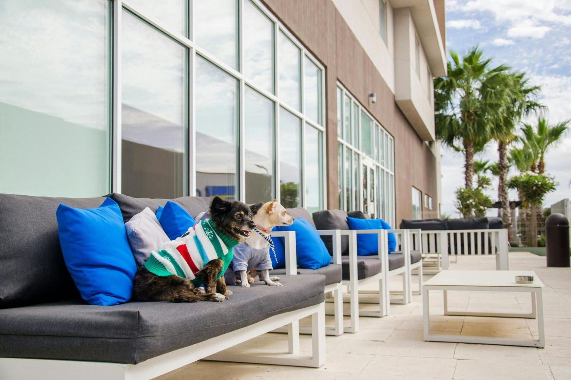 Courtyard By Marriott Hermosillo Ngoại thất bức ảnh